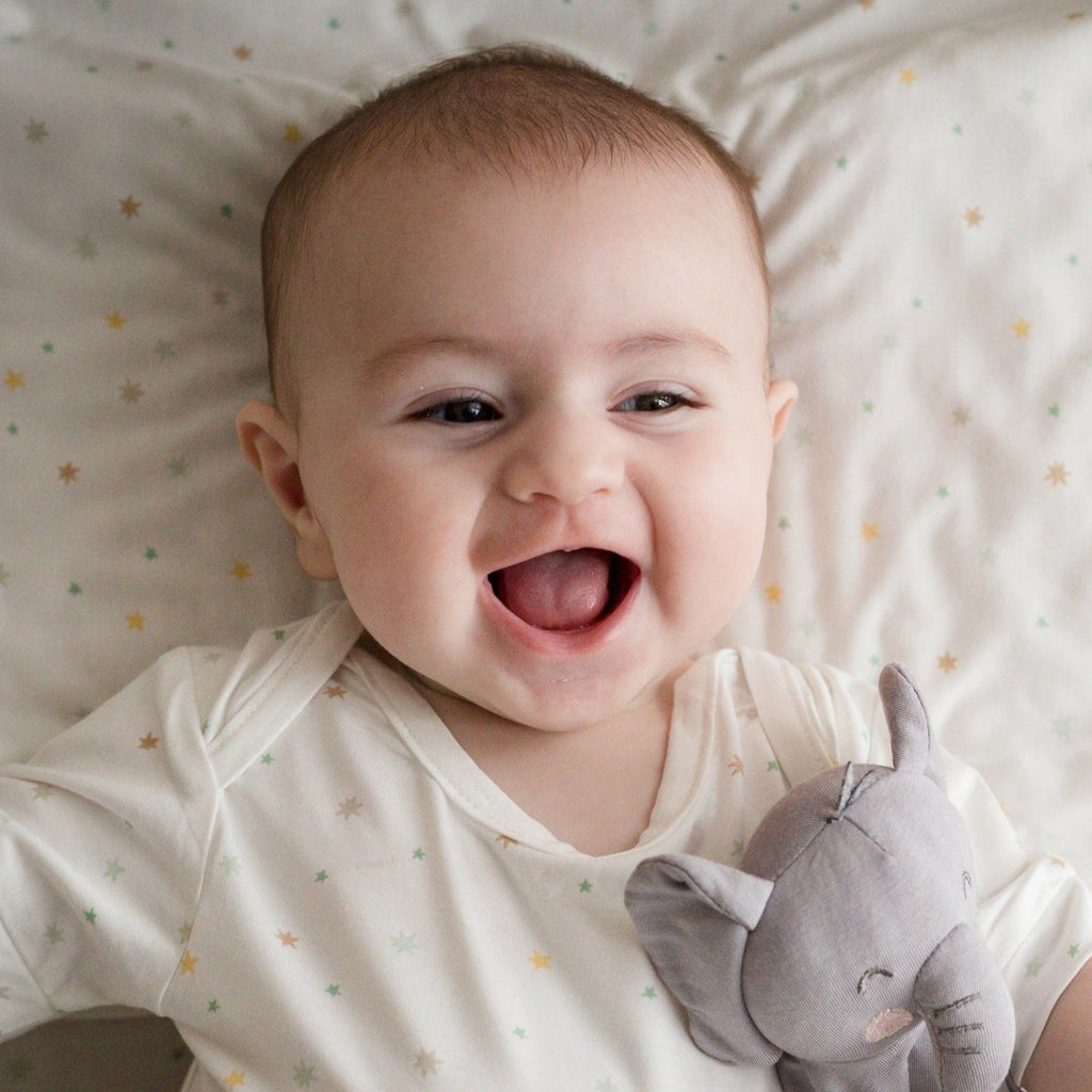 Cozy Lullaby Gift Set