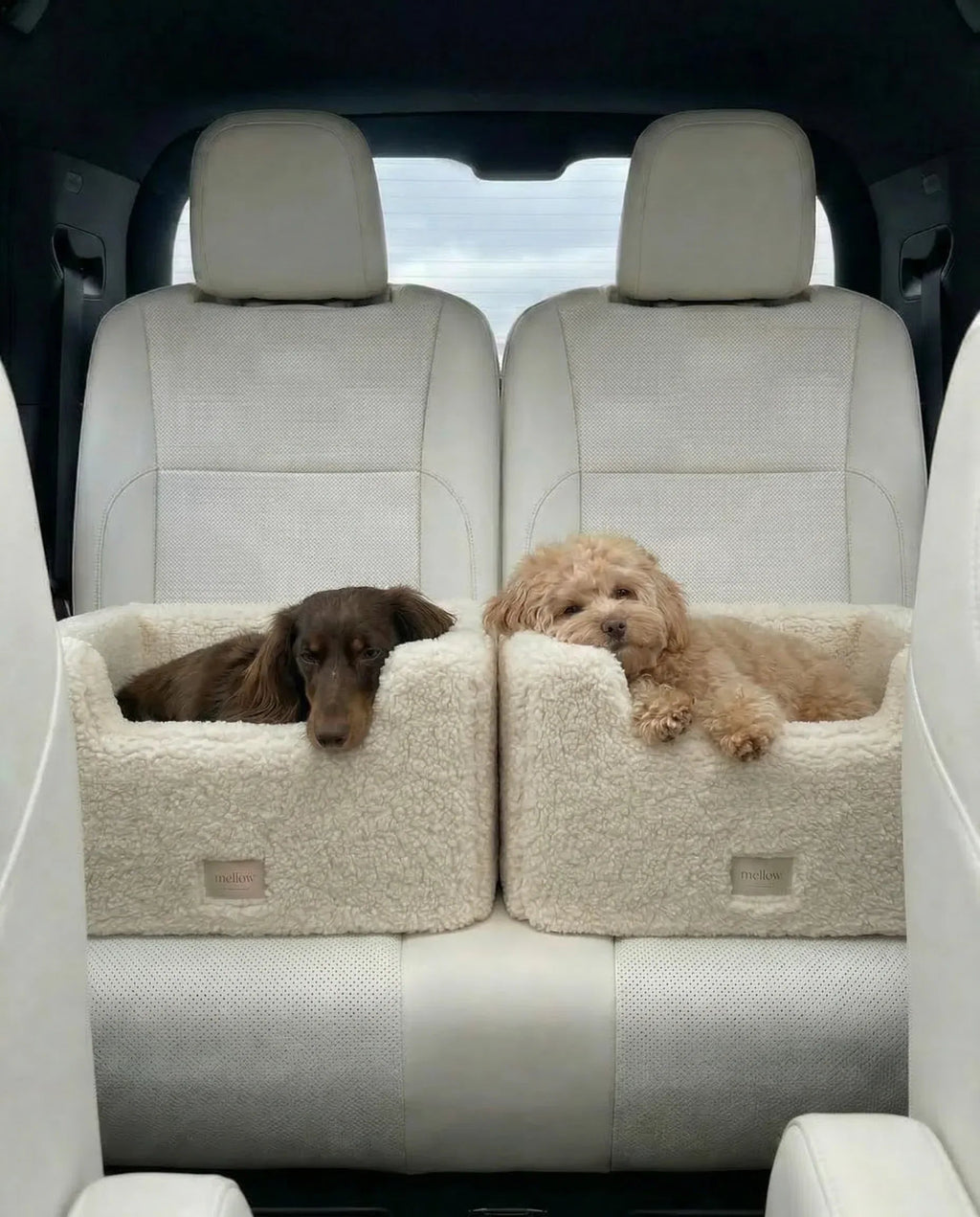 Natural Wool Dog Carrier - White